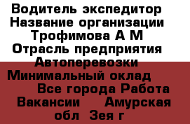 Водитель-экспедитор › Название организации ­ Трофимова А.М › Отрасль предприятия ­ Автоперевозки › Минимальный оклад ­ 65 000 - Все города Работа » Вакансии   . Амурская обл.,Зея г.